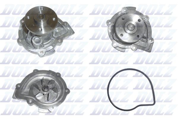 S363 Dolz