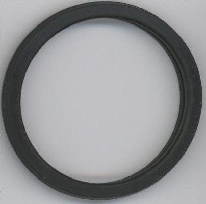 027450 Elring Vedante de termostato