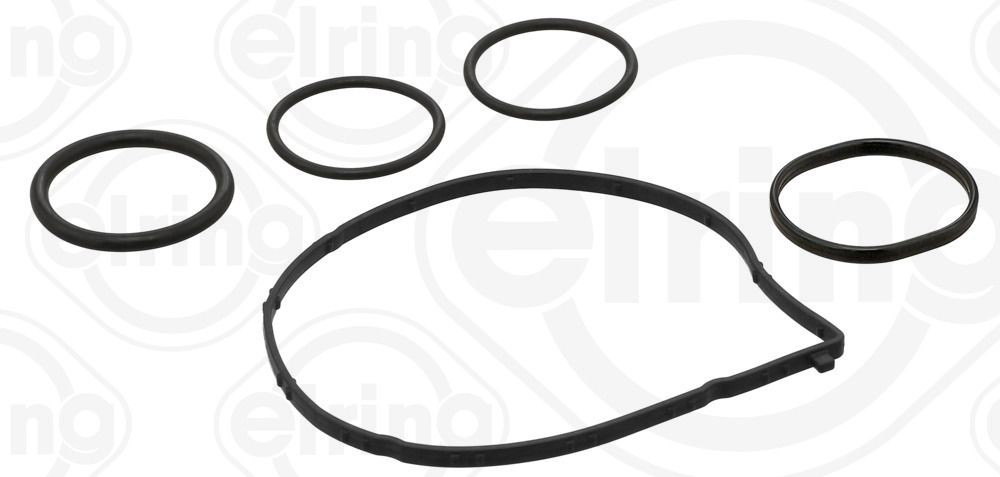 110520 Elring 