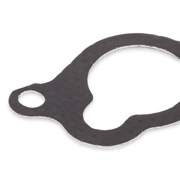 Compre 165210 Elring Vedante de tubo coletor de admissão