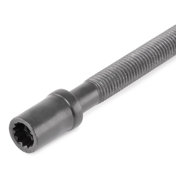 Compre 305430 Elring Parafuso de cabeça de motor (CBC)