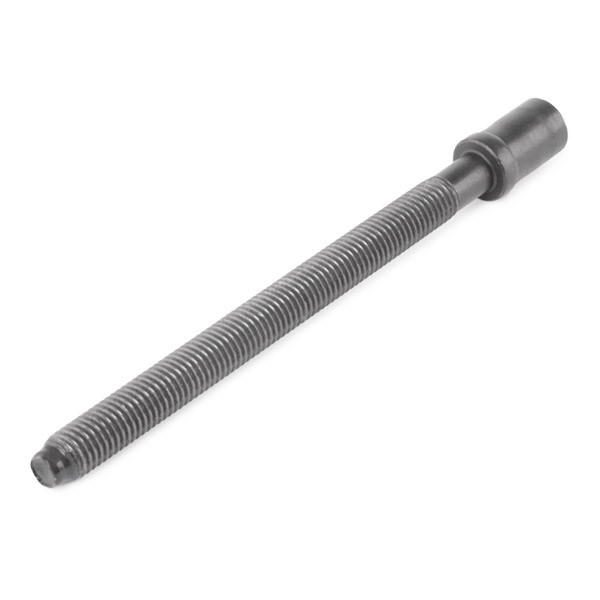 Parafuso de cabeça de motor (CBC) 305430 Elring