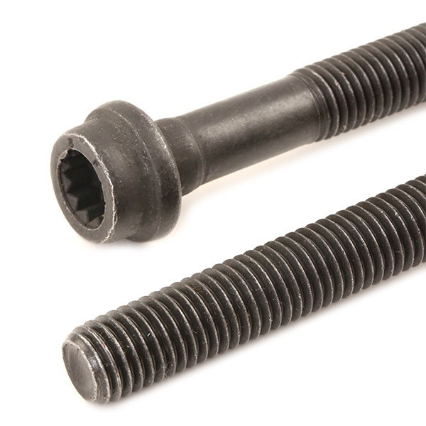 Compre 456111 Elring Parafuso de cabeça de motor (CBC)
