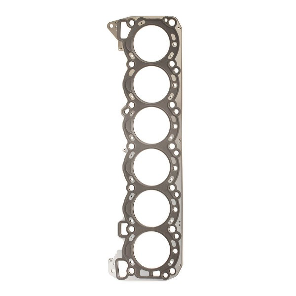 Compre 920569 Elring Vedante de cabeça de motor (CBC)