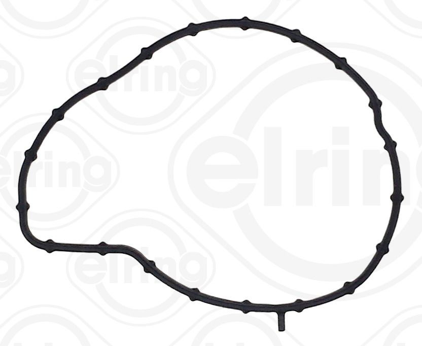  Vedante de bomba de água Ford Focus IV hatchback (HN) (2018 - 2026) IV