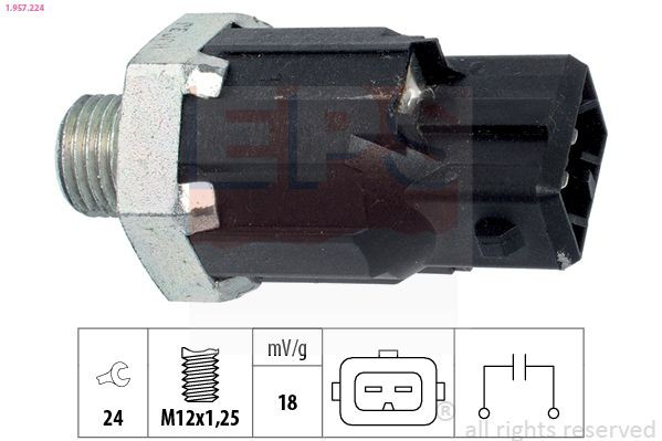  Sensor de detonação Dacia Sandero I hatchback (BS0, 1) (2008 - 2012) I