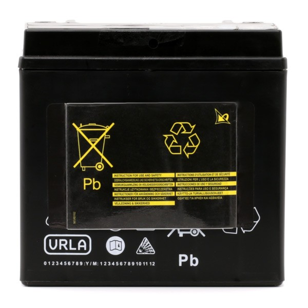 Compre 244103090R Renault (RVI) Bateria recarregável (PILHA)