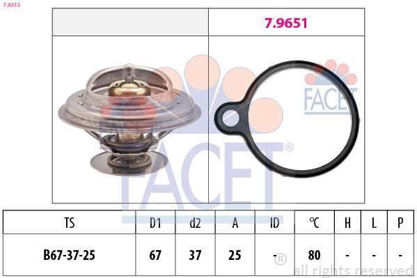 Termostato para Mercedes 100  631