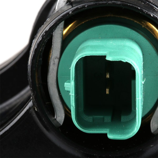 Compre 78708 Facet Caixa do termostato