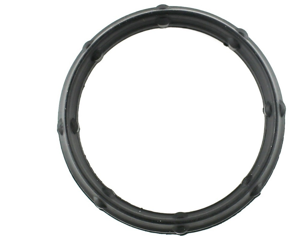 Vedante de tubo coletor de admissão para Renault Master II CD, HD, U0D