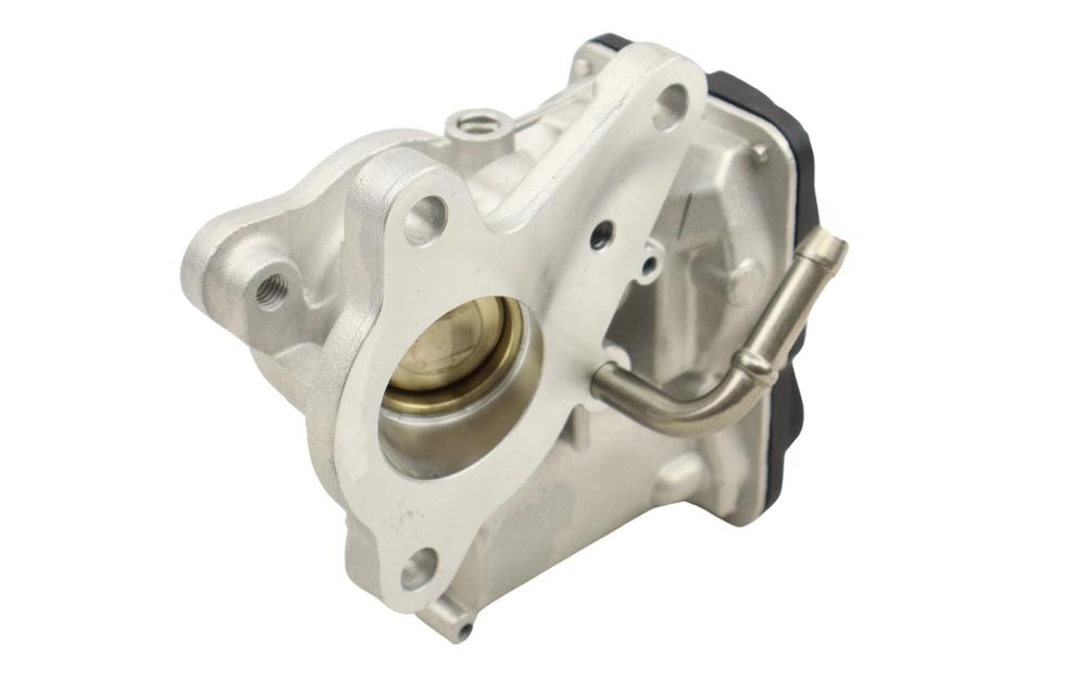 Compre Válvula EGR de recirculação dos gases Nissan Navara 