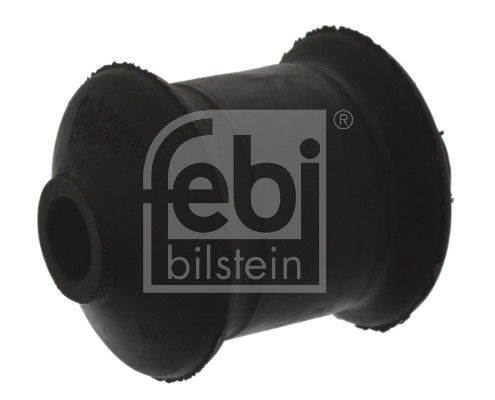 Compre Bloco silencioso dianteiro do braço oscilante inferior Ford Escort 