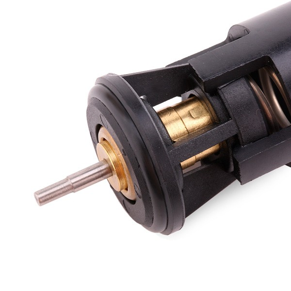 Termostato 17902 Febi
