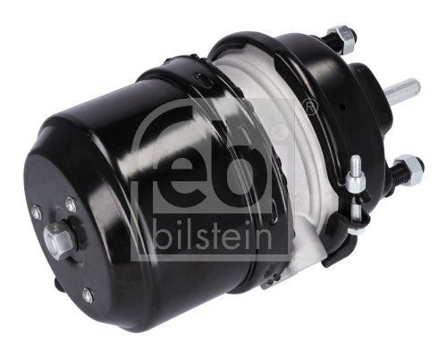 Compre 154209618 Evobus/Setra Câmara do freio (Acumulador de energia)