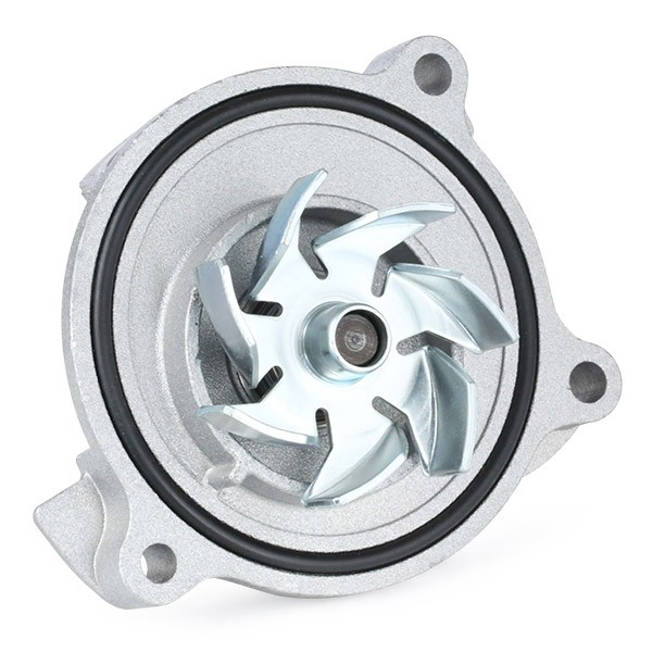  Febi 22206