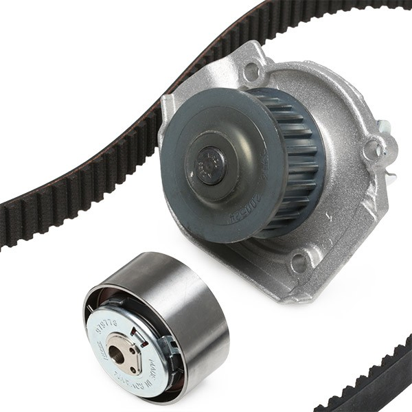 Correia do mecanismo de distribuição de gás, kit 8550500846 Renault (RVI)
