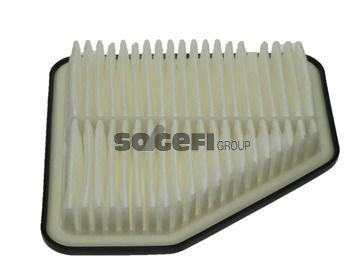 CA10169 Fram Filtro de ar