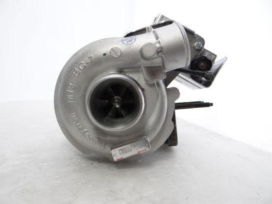 7969119002S Garrett Turbina