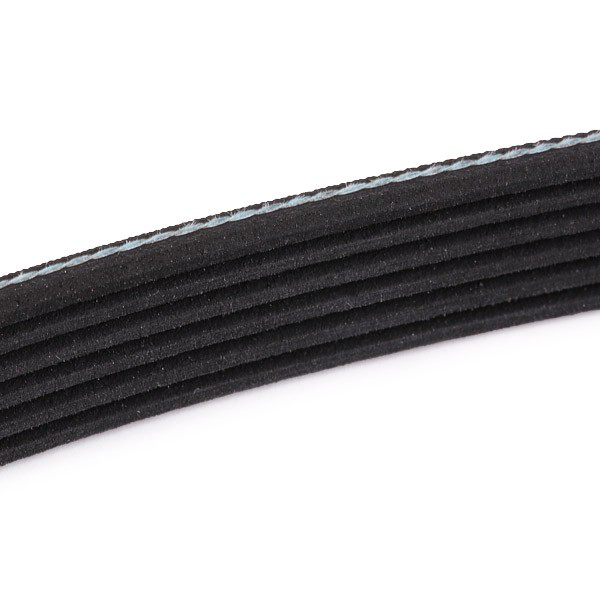 Correia dos conjuntos de transmissão, kit Ford Fiesta Mk3 GFJ