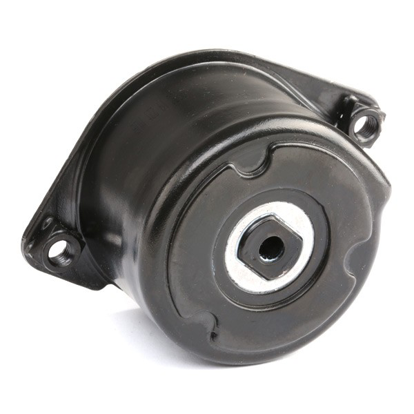 Reguladora de tensão da correia de transmissão para BMW 7  E65, E66, E67