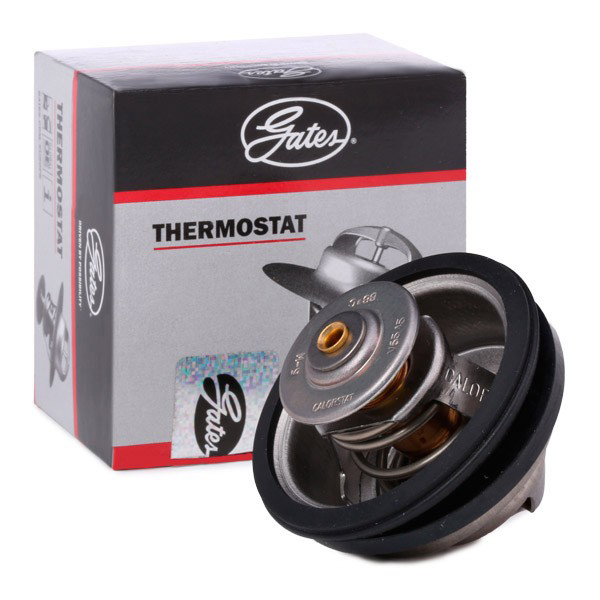 8389512 Volvo Termostato