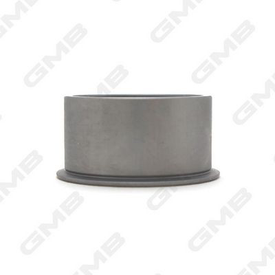 Compre GT80380 GMB Rolo parasita da correia do mecanismo de distribuição de gás