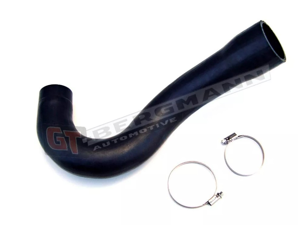 GT52087 GT-Bergmann