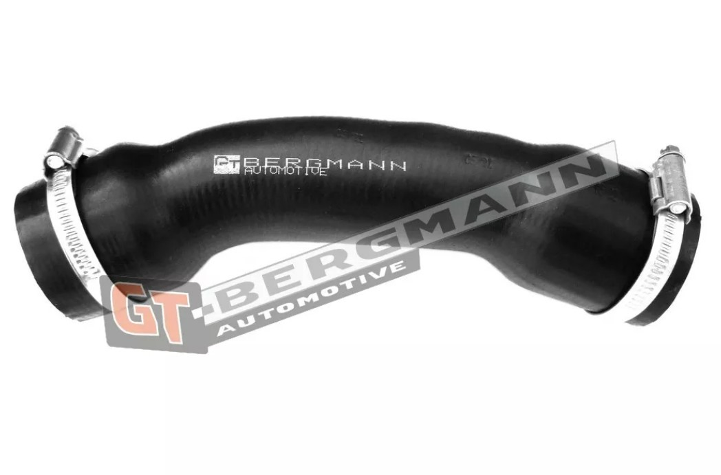 GT52231 GT-Bergmann