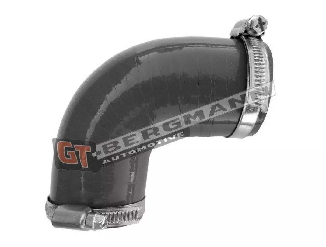 GT52645 GT-Bergmann