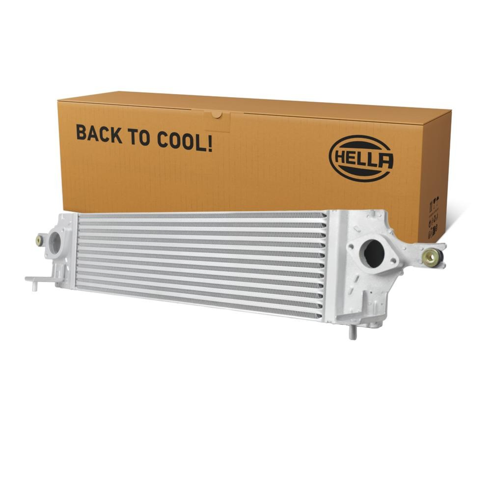  Radiador de intercooler Renault Koleos SUV (HY0) (2008 - 2026) 