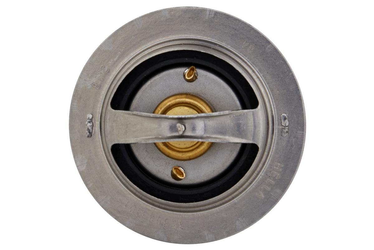  Cummins 3973834