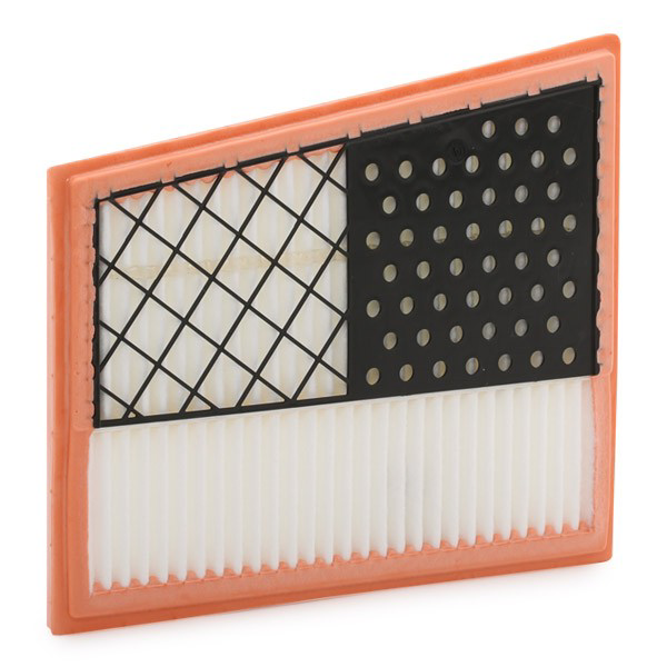 Filtro de ar E1029L01 Hengst