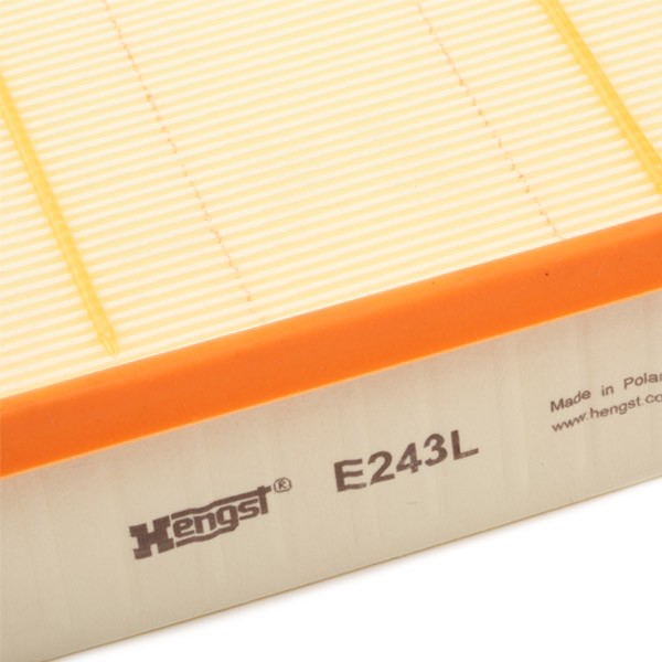  Hengst E243L