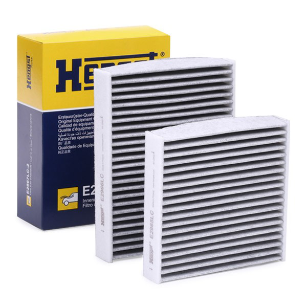 Compre E2967LC2 Hengst Filtro de salão