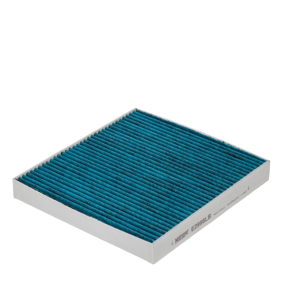 Compre E2998LB Hengst Filtro de salão