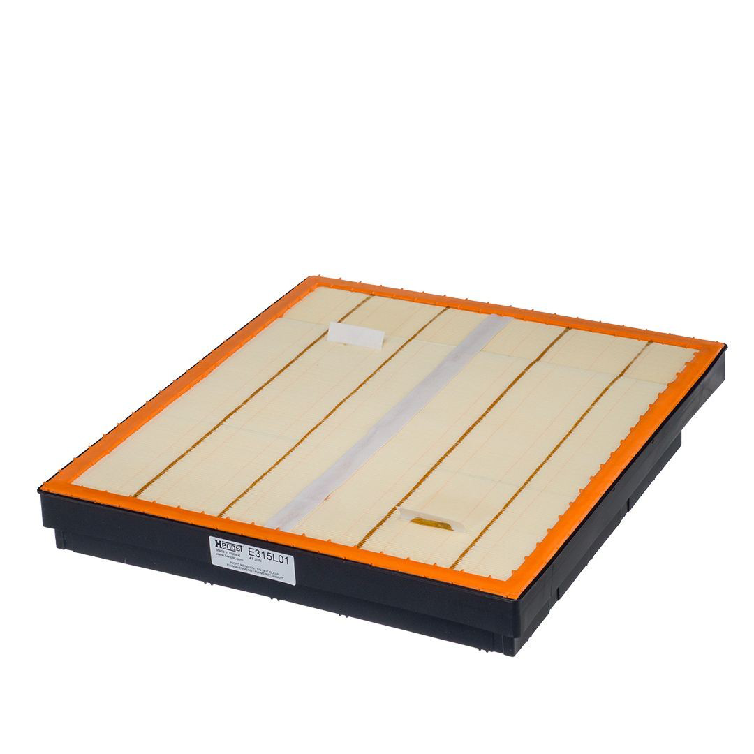 E315L01 Hengst Filtro de ar