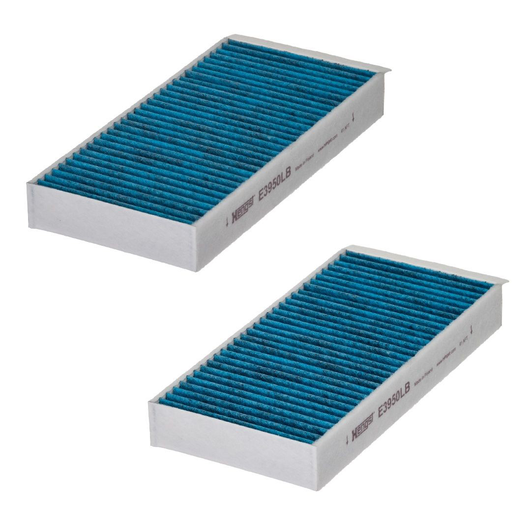E3950LB2 Hengst Filtro de salão