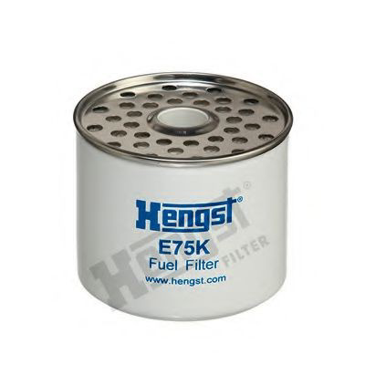 Compre E75KD42 Hengst Filtro de combustível
