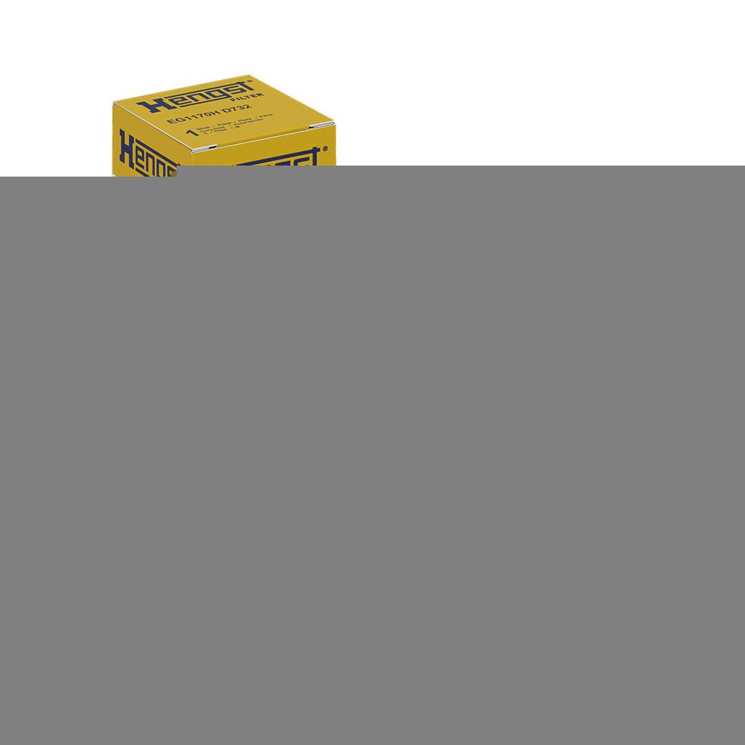 EG1170HD732 Hengst Filtro da Caixa Automática de Mudança
