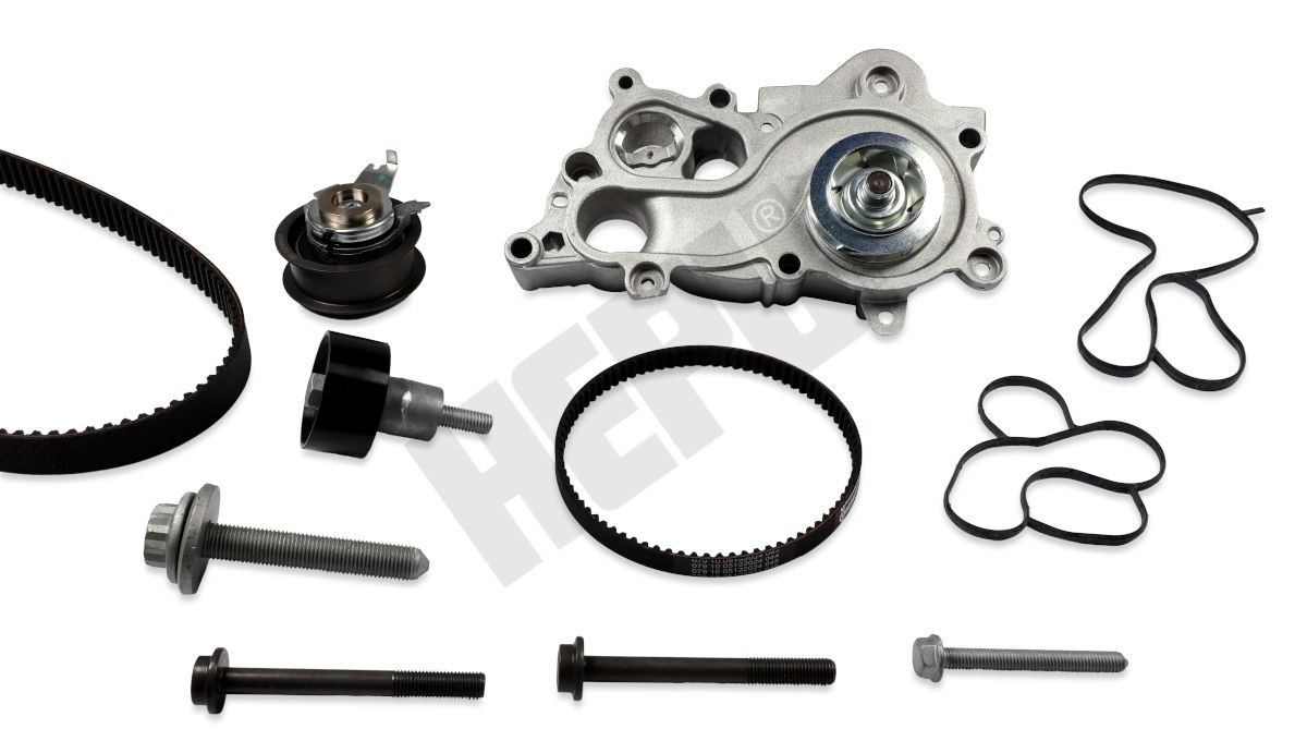 Correia do mecanismo de distribuição de gás, kit VKMC01281 SKF