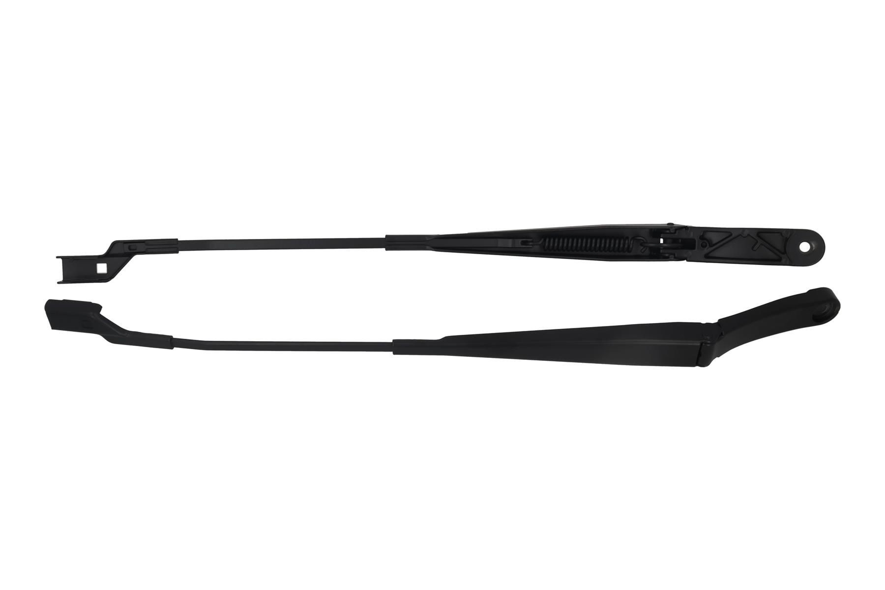25084 Kamoka