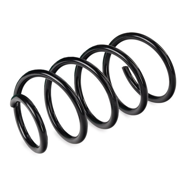 31339806812 BMW Mola dianteira