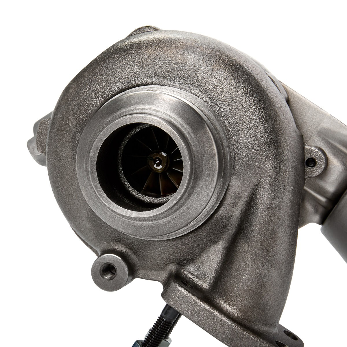 LTRPA7534202 Lucas Turbina