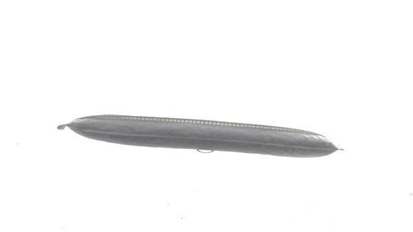 AD344000S Mahle Original