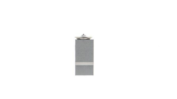 AVE173000S Mahle Original