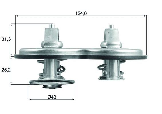  Termostato Mercedes Benz Truck TRUCK ACTROS MP4 / MP5 caminhão trator (2011 - 2026) MP4 / MP5