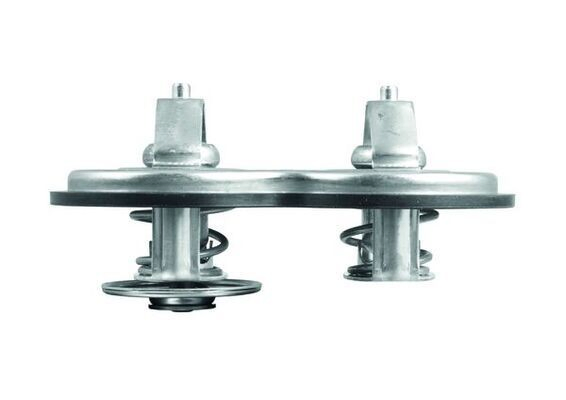 Compre Termostato Mercedes Benz Truck TRUCK ACTROS 