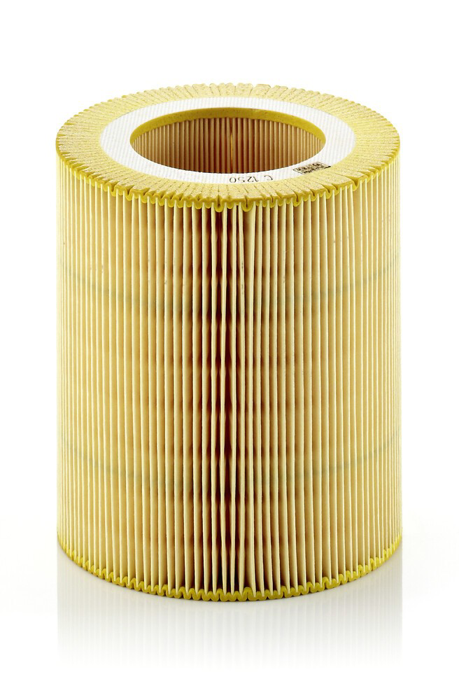 C1250 Mann-Filter Filtro de ar