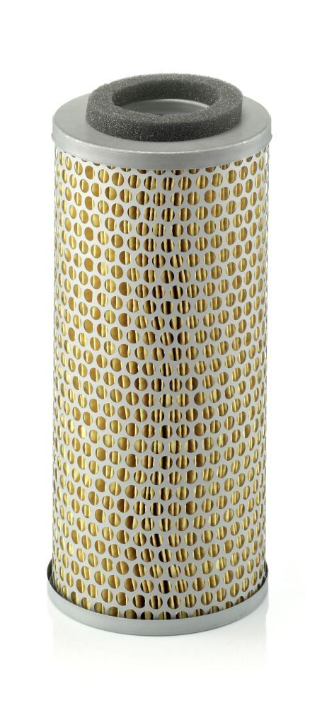 Compre C14171 Mann-Filter Filtro de ar