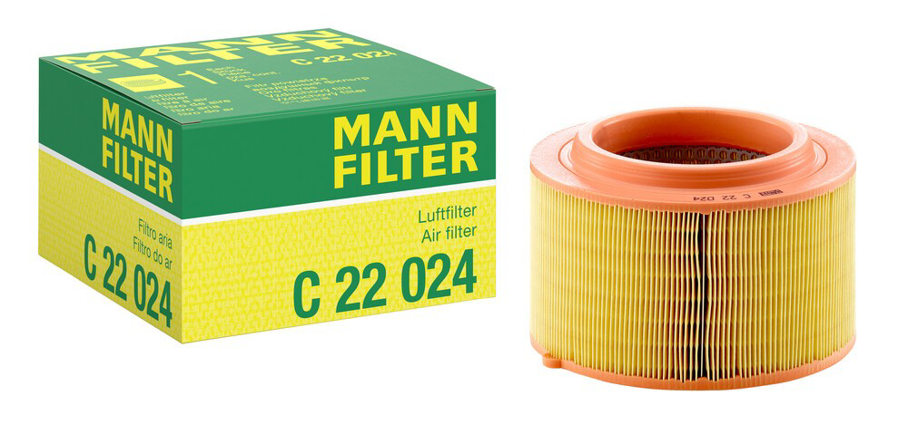 Compre C22024 Mann-Filter Filtro de ar